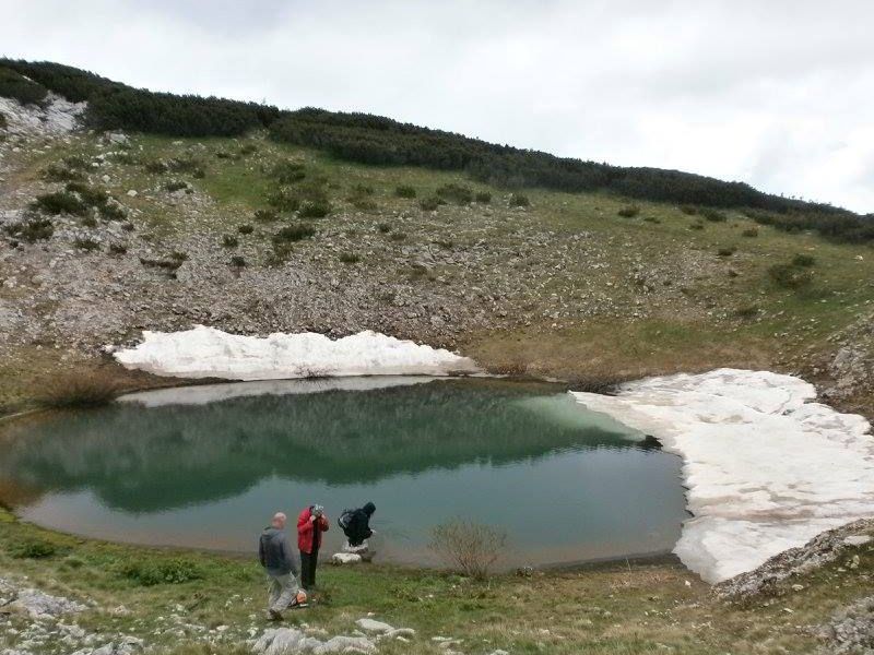 jezero Crvenjak iznad 2000 m nadmorske visine (izvor fotografije: Branka Ećimović) 