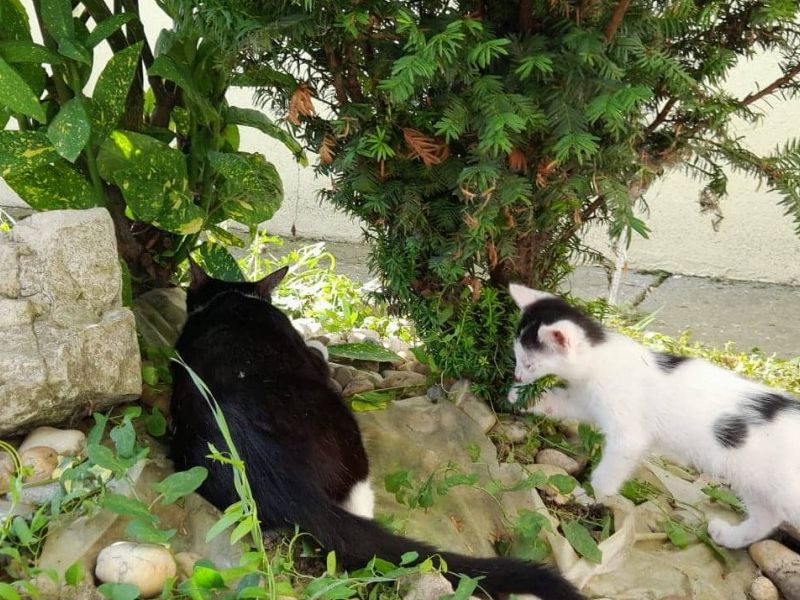 Foto: privatna arhiva