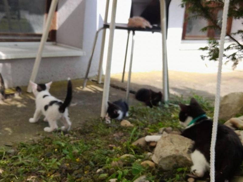 Foto: privatna arhiva