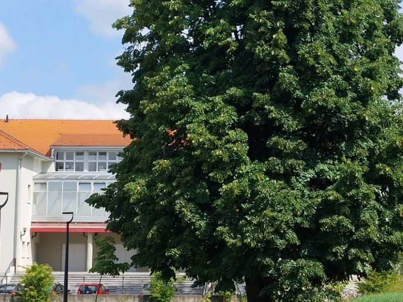 Kino Hrvatski dom Pakrac / Foto: Matija Kulhavi