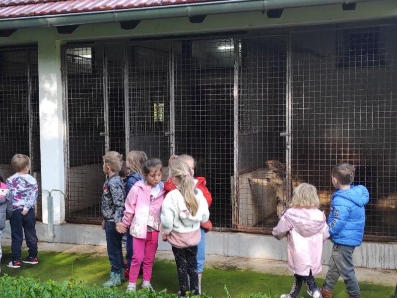 Foto: DV Kockica Lipik