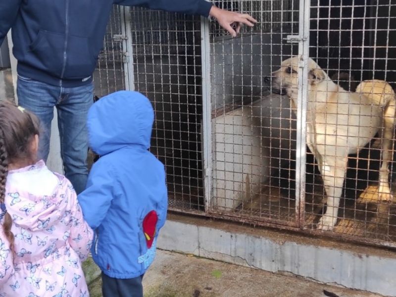 Foto: DV Kockica Lipik