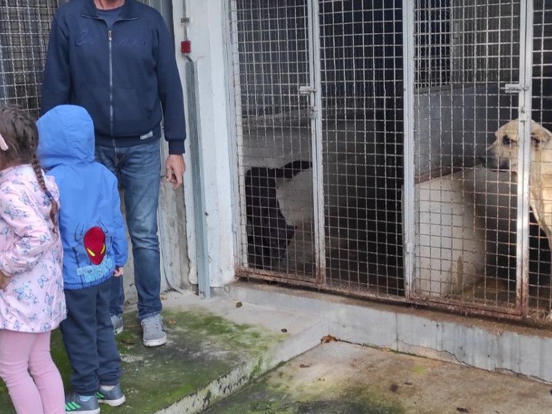 Foto: DV Kockica Lipik