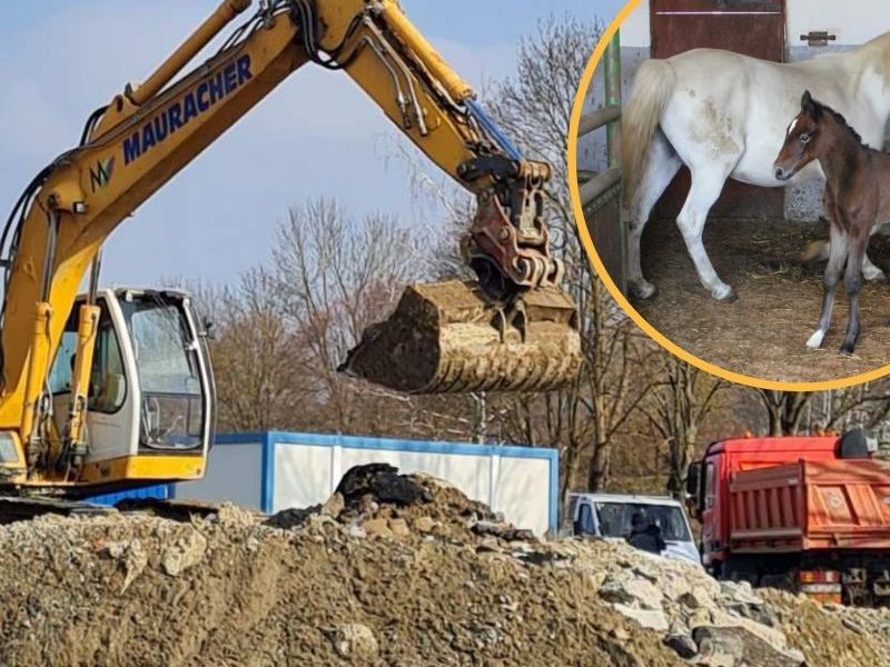 Započeli su radovi na izgradnji nove Ergele u Lipiku / Compas.hr
