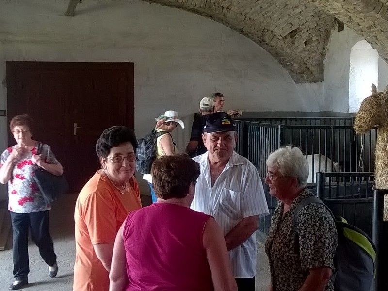 fotografirala: Ivana Pleše