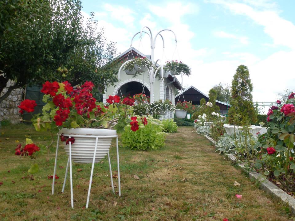 detalj iz oaze obitelji Paukovac iz Poljane