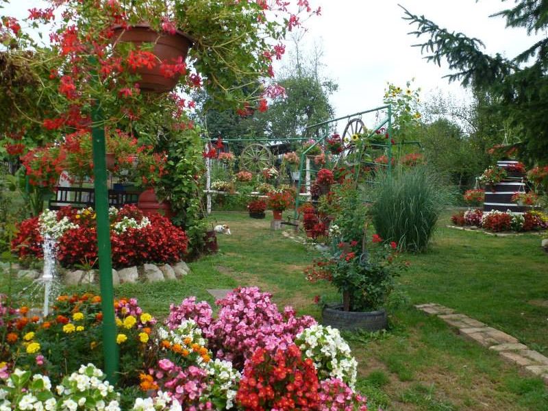 šarenilo cvijeća u oazi obitelji Vidović u Kukunjevcu