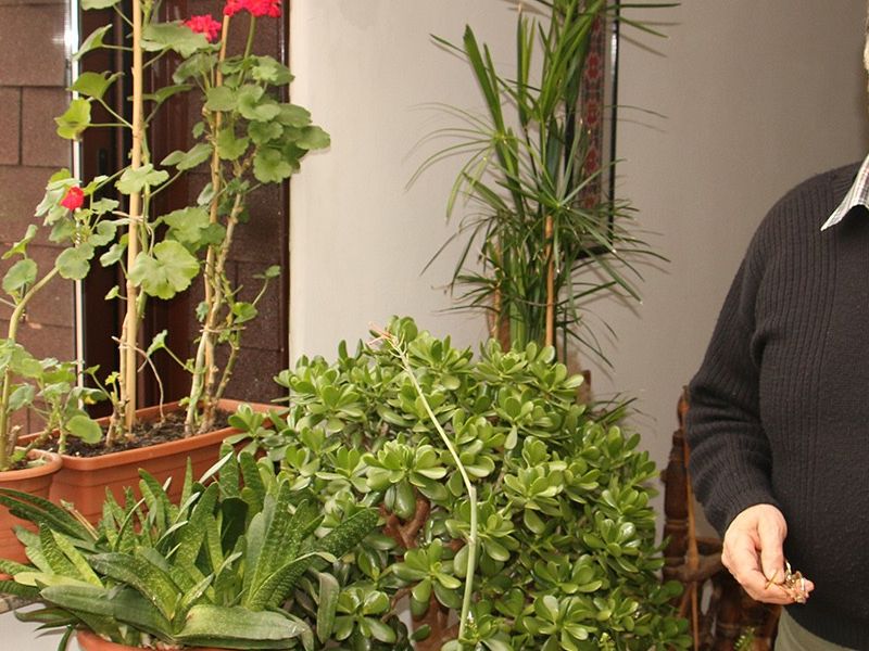 prim. dr. Stjepan Šarac