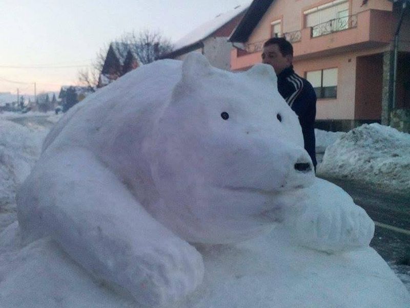 polarni medo iz Prekopakre