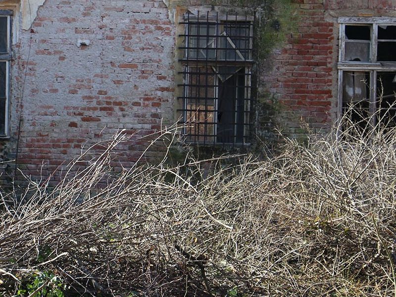 čišćenje zapuštene parcele iza Vile Mire