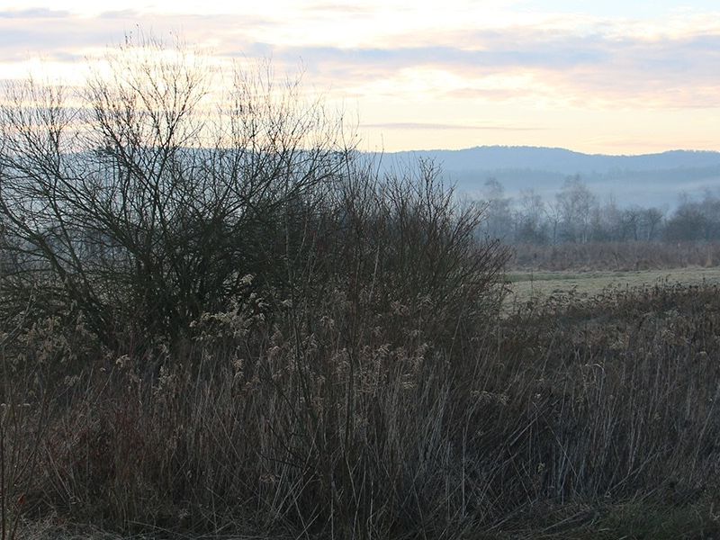 nastavljeni radovi u Staklanskoj ulici