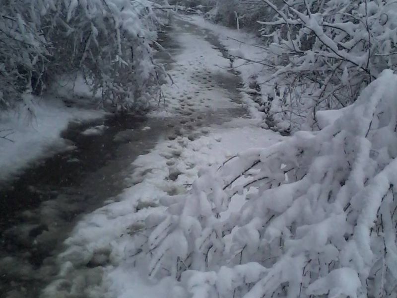 Cesta u Šeovici