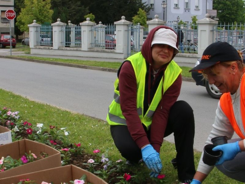sadnja cvjetnog nasada u Vukovarskoj aveniji