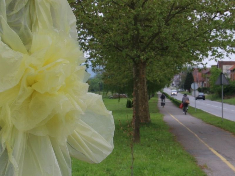 cvjetni ukras od PVC-vrećice kakvi su postavljeni na drvoredima u Lipiku i Filipovcu