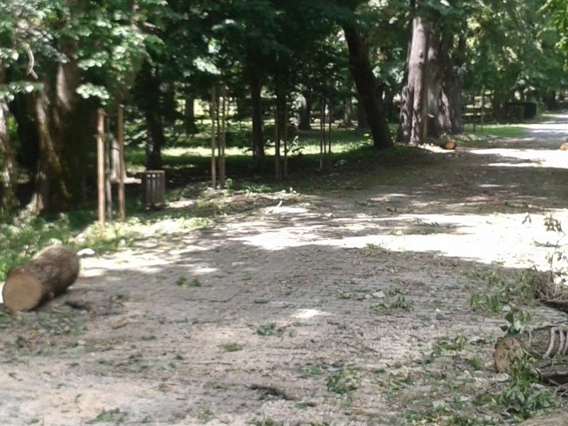 gradski dio perivoja