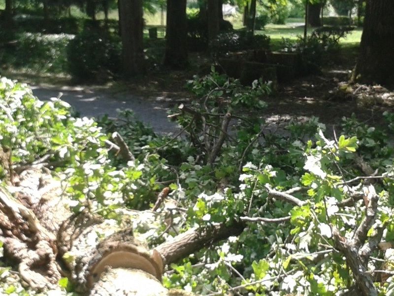 u perivoju iza Toplica Lipik