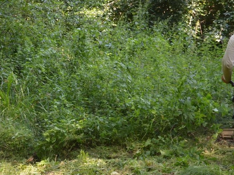 košnja trave na izvorištu Bukovac