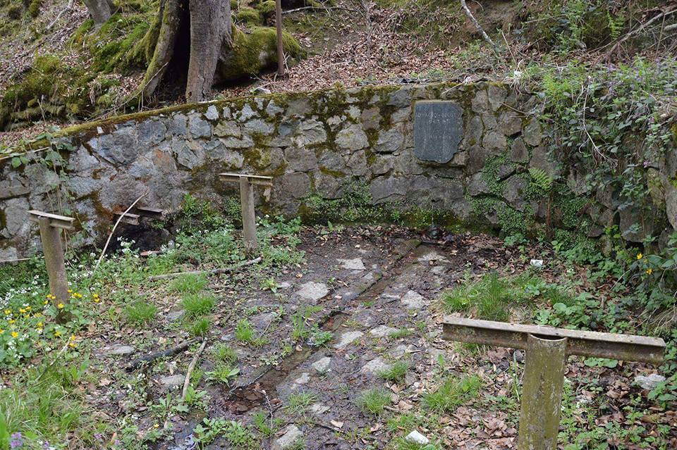 Izvorište Bukovac u Dobrovcu prije košnje