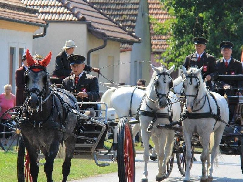 izvor fotografije: Državna ergela Đakovo i Lipik