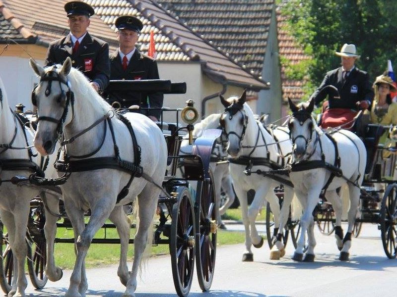 izvor fotografije: Državna ergela Đakovo i Lipik