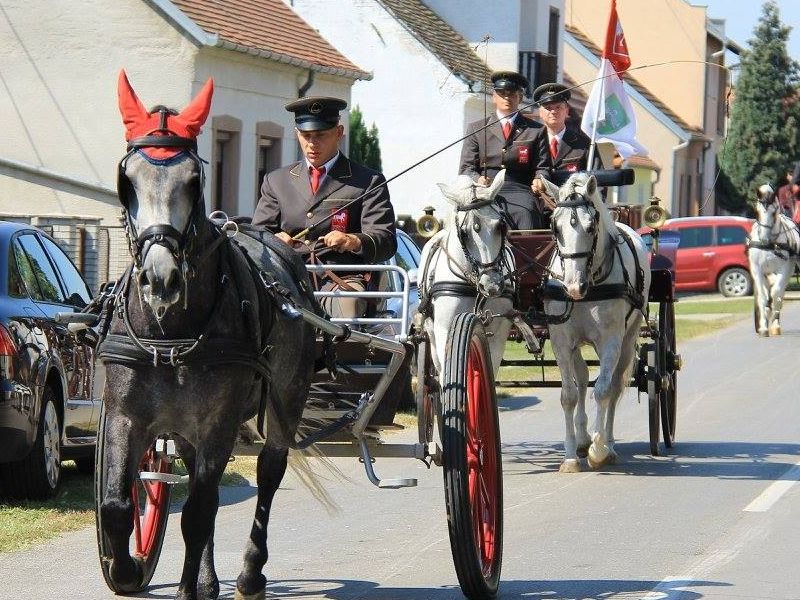 izvor fotografije: Državna ergela Đakovo i Lipik