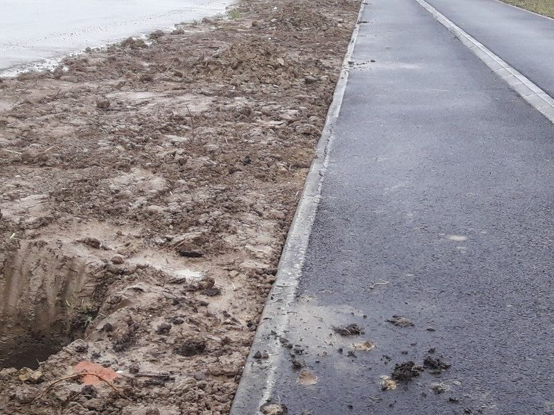 nakon iskopa rupa za sadnice, 12. studenog