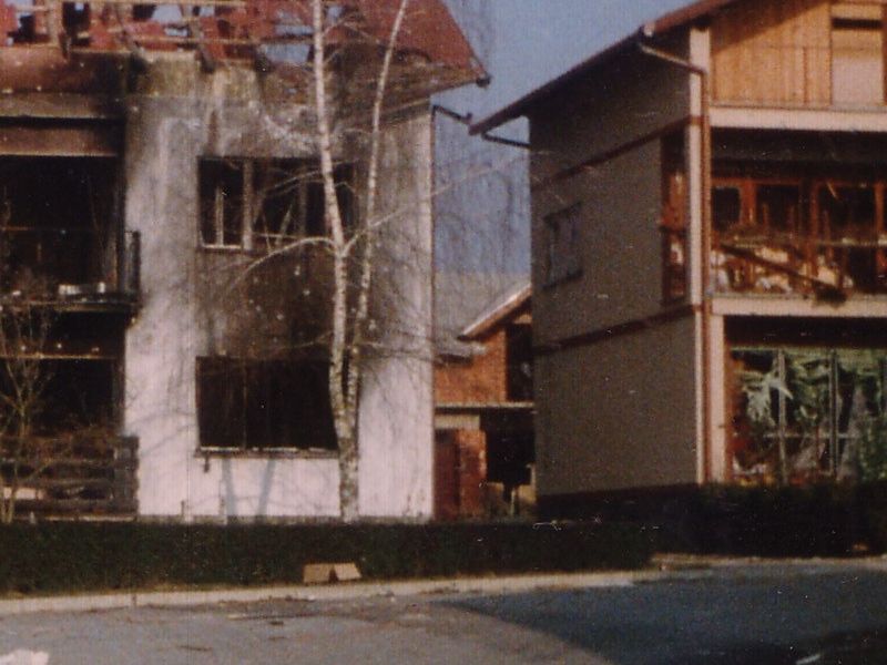 Kuća Đorđa Podunavca i Ive Strehovca