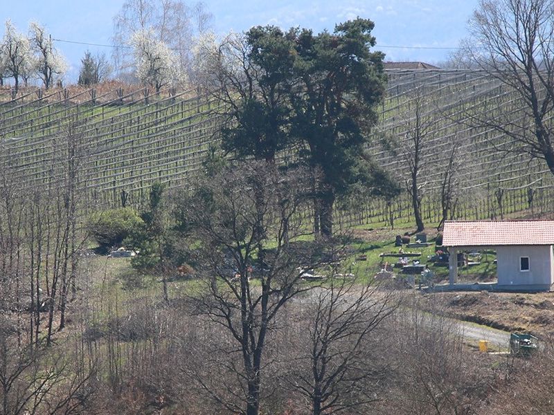 Mrtvačnica