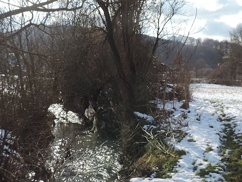 Potok otok Donji Čaglić ispred kuće Nedeljke Gašparović-Kačera prije ušća s potokom Kovačevac
