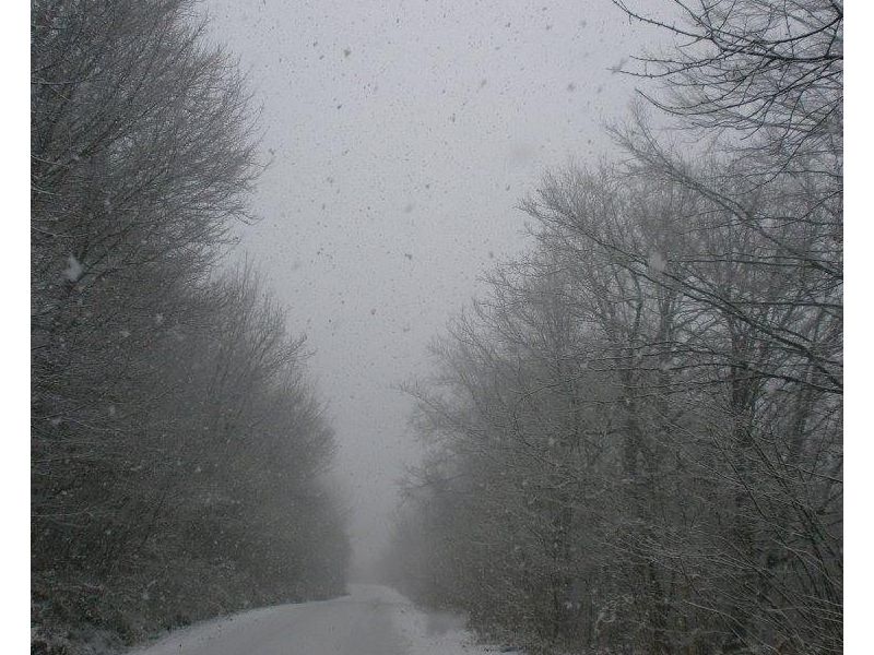 snimljeno 1. veljače 2015.(izvor fotografije: FB profil Branke Hećimović)