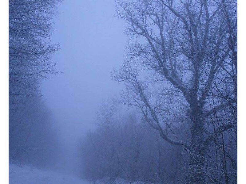 snimljeno 1. veljače 2015.(izvor fotografije: FB profil Branke Hećimović)