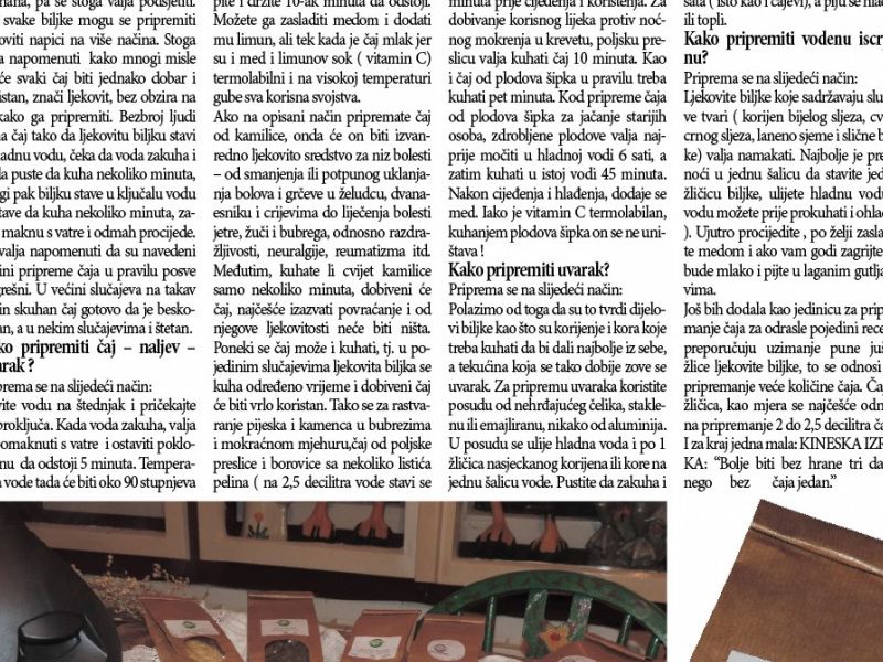 Članak prenesen iz 11. broja Compasa