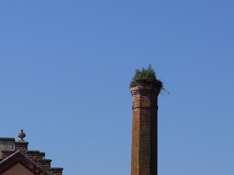 Pakrac