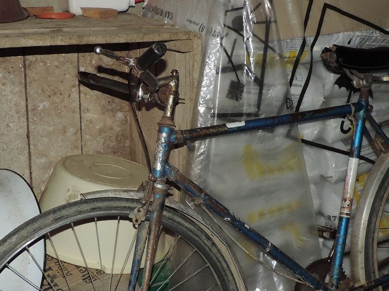 stari bicikl, njegovo jedino prijevozno sredstvo