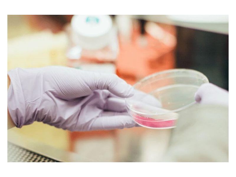 Foto: koronavirus.hr