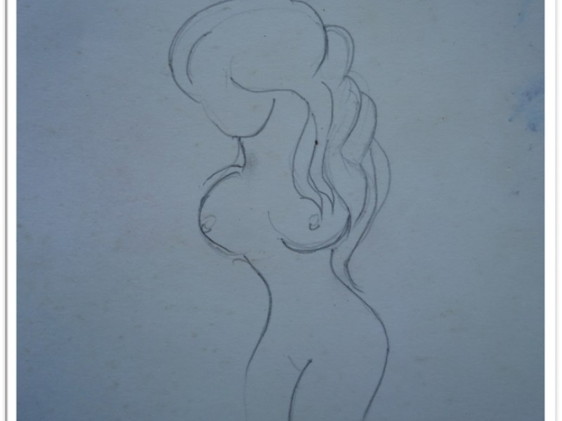 Preslikano iz stare „gimnazijske njemačke bilježnice“. Kao šesnaestogodišnjak nisam baš poznavao  anatomiju ženskog tijela, pa sam crtao kako sam znao. Odnosno, crtao sam kako sam zamišljao da izgledaju ženska tijela. 