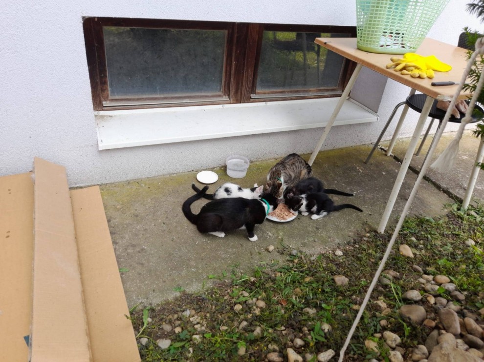 Foto: privatna arhiva