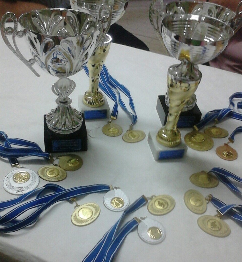 osvojene medalje i pehari Slavonca nakon zadnjeg kola Županijske lige 2015.