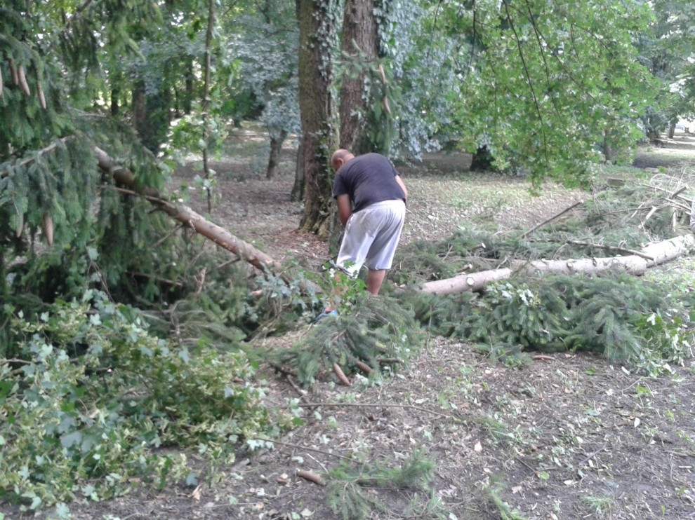 gradski dio perivoja