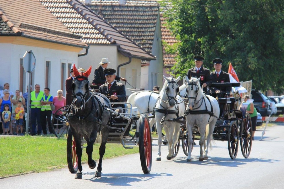 izvor fotografije: Državna ergela Đakovo i Lipik